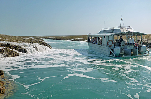 Kimberley-Cruise-Waterfall-Season-Coral-Expeditions-Montgomery-Reef