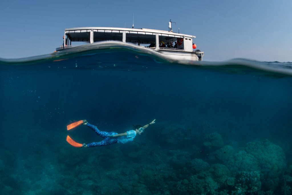 Scott Reef